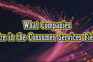 what companies are in the consumer services field