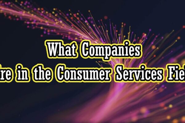 what companies are in the consumer services field