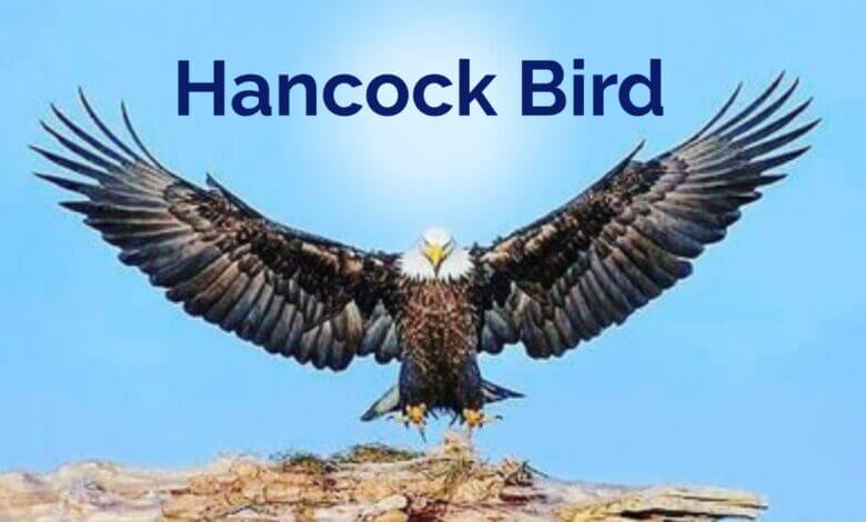 Hancock Bird Meaning